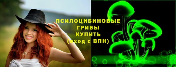mdpv Богородицк