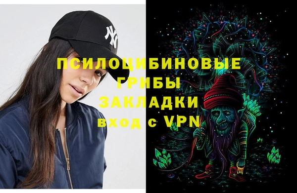 молекула духа Бронницы