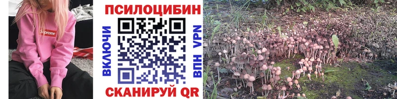 Псилоцибиновые грибы Cubensis  KRAKEN онион  Верхотурье  даркнет сайт 